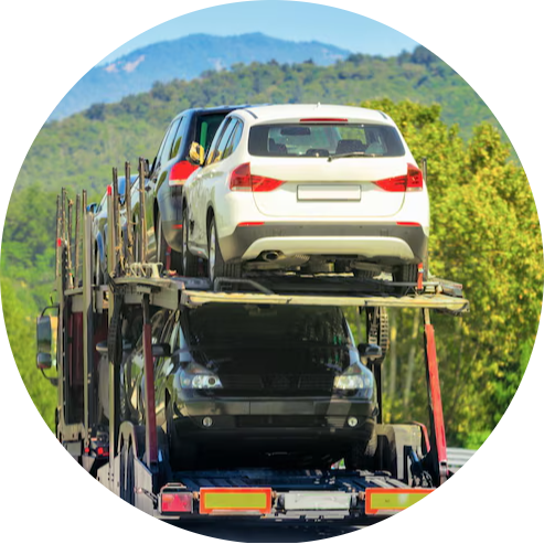 car carrier by Manisha 