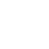 vehicle-icon